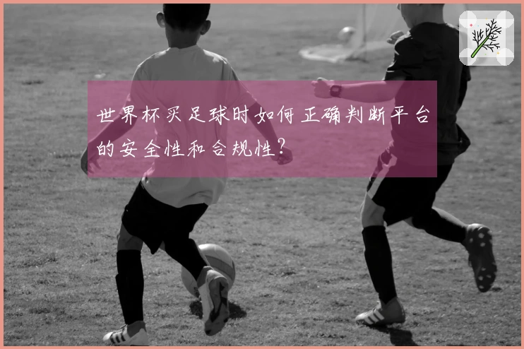 世界杯买足球时如何正确判断平台的安全性和合规性？