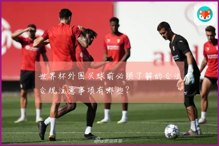 世界杯外围买球前必须了解的合法合规注意事项有哪些？